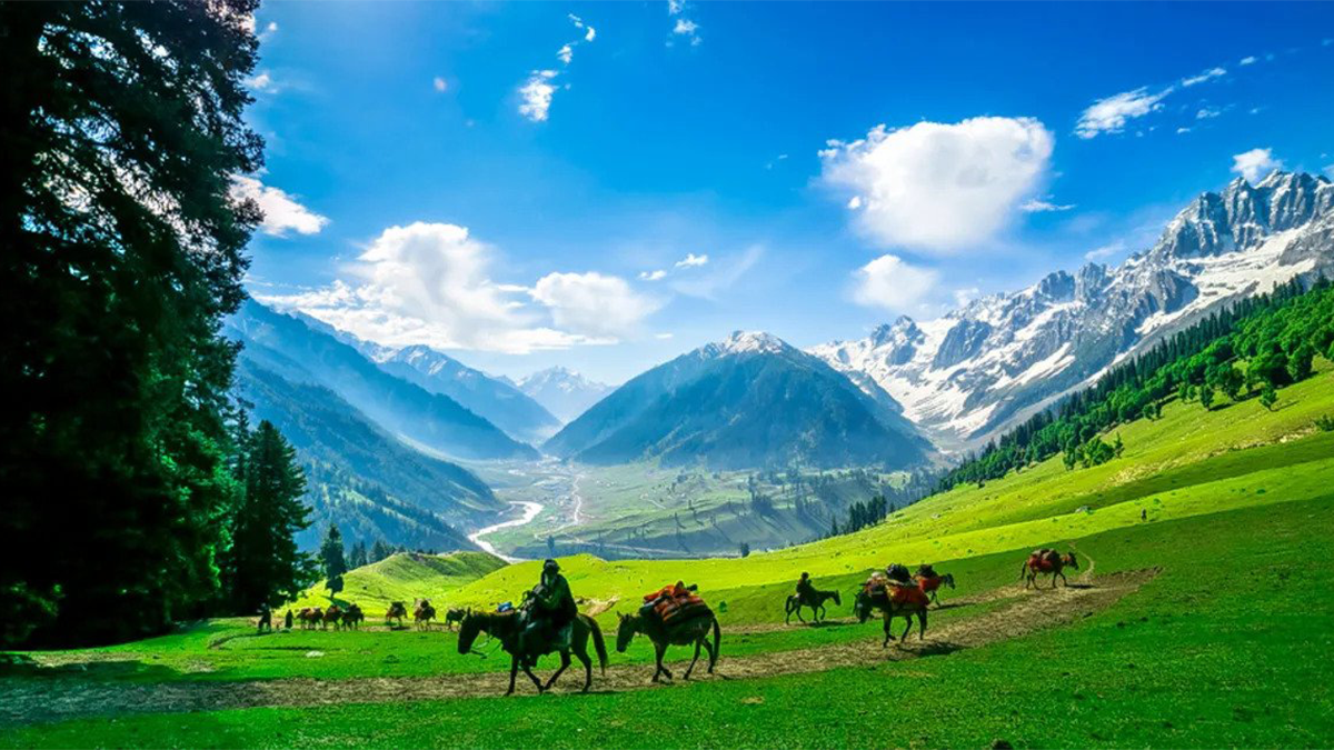 3 Days Trip To Kashmir